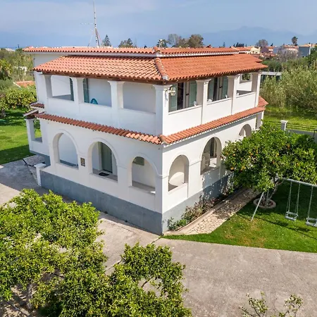 Apartament Olivea 1 *