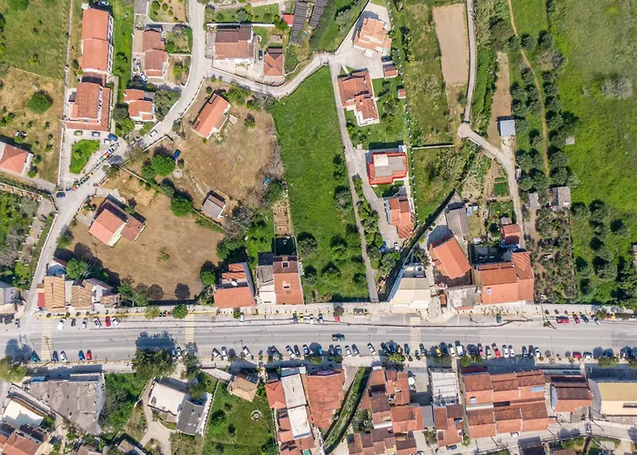 Olivea 1 * アカラヴィ